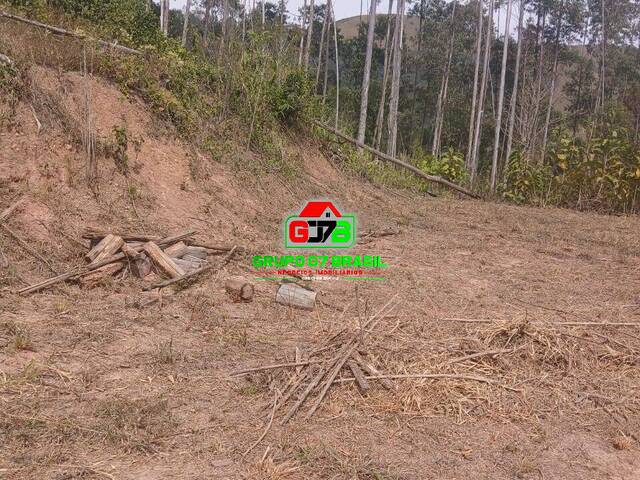 Chácara para Venda em Monteiro Lobato - 4