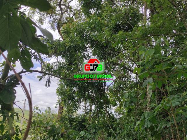 Chácara para Venda em Jambeiro - 3