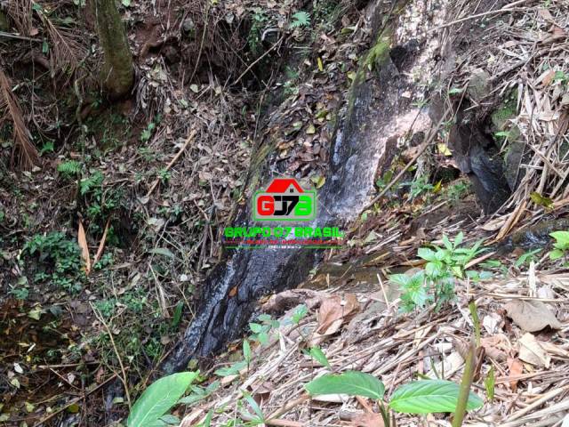 Sítio para Venda em Monteiro Lobato - 5