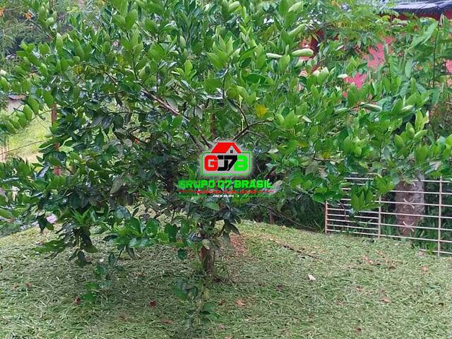 Chácara para Venda em Jambeiro - 5