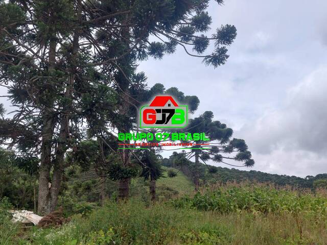 #3469 - Sítio para Venda em Marmelópolis - MG - 2