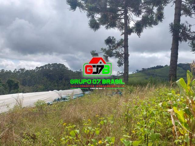 #3469 - Sítio para Venda em Marmelópolis - MG - 3