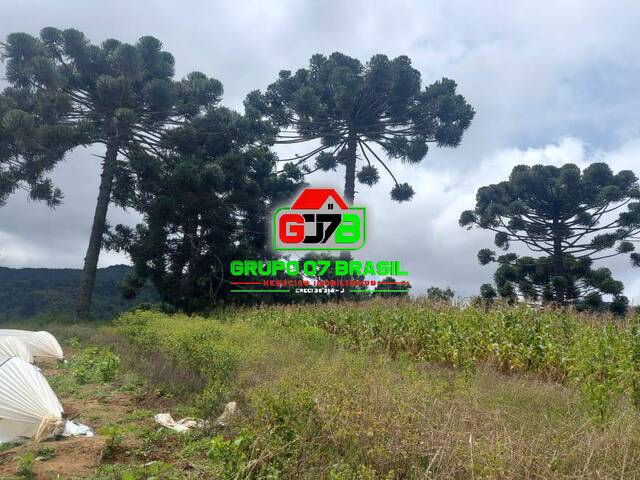 Sítio para Venda em Marmelópolis - 5