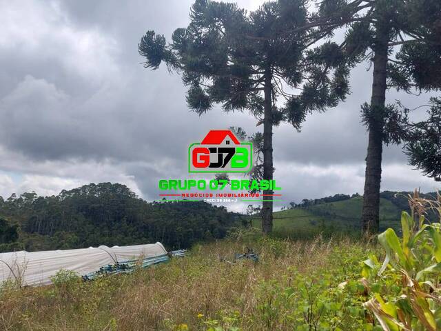 Sítio para Venda em Marmelópolis - 4