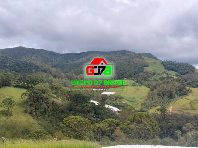 #3469 - Sítio para Venda em Marmelópolis - MG - 1