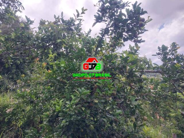 #3470 - Chácara para Venda em Jambeiro - SP - 2