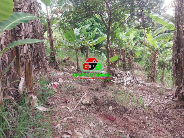 Venda em Zona Rural de Jambeiro - Jambeiro