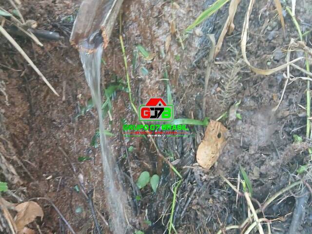 Sítio para Venda em São José dos Campos - 5