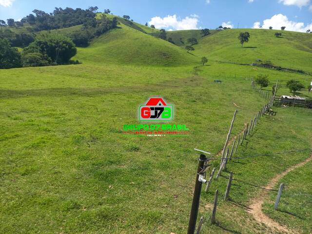 Fazenda para Venda em Soledade de Minas - 5