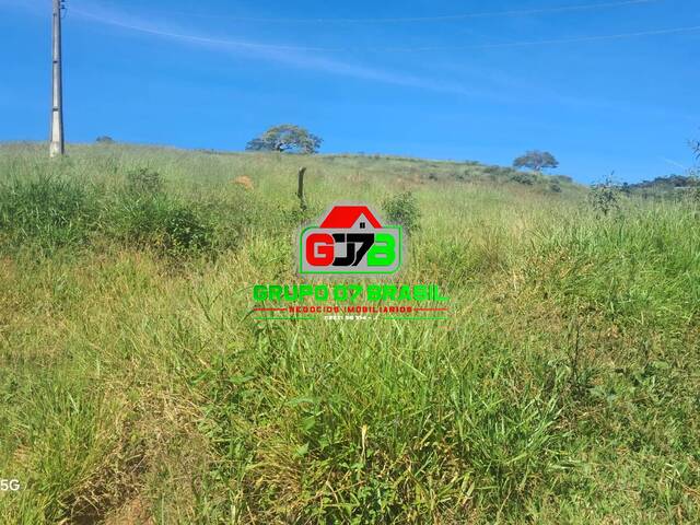 Fazenda para Venda em Conceição do Rio Verde - 2