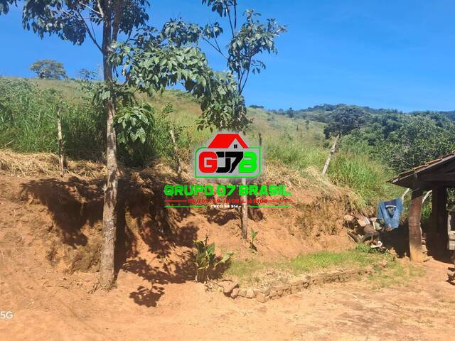 Fazenda para Venda em Conceição do Rio Verde - 5
