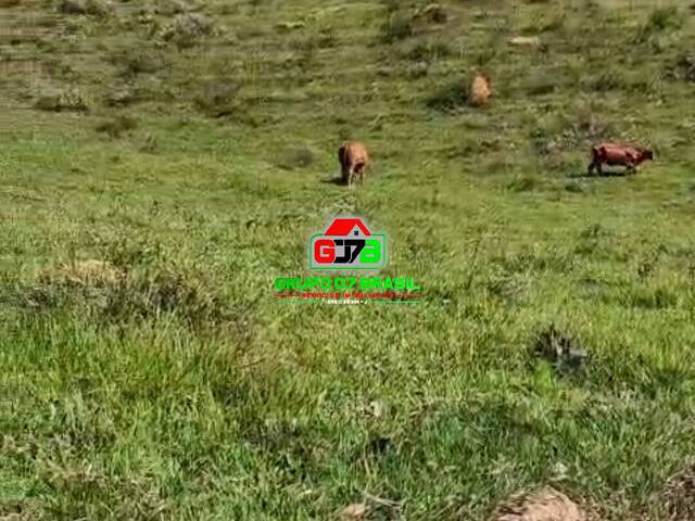 Fazenda para Venda em Guaratinguetá - 5