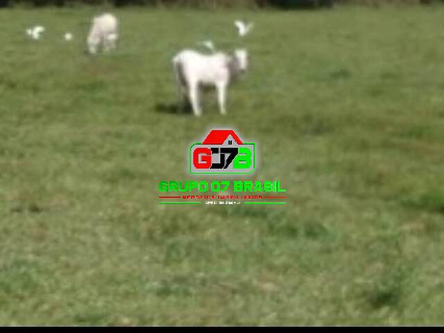 #3493 - Fazenda para Venda em Jacareí - SP - 1