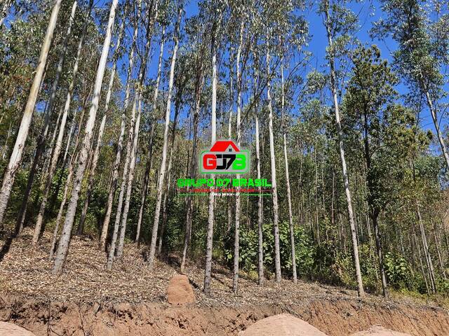 #3494 - Fazenda para Venda em Paraibuna - SP - 3