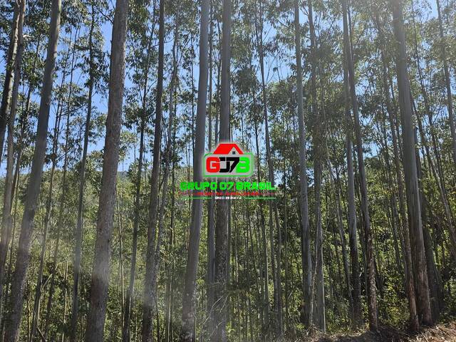 Fazenda para Venda em Paraibuna - 4