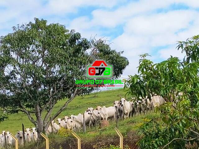 #3496 - Fazenda para Venda em Jacareí - SP - 1