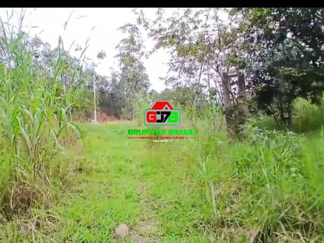 #3501 - Sítio para Venda em Monteiro Lobato - SP - 2