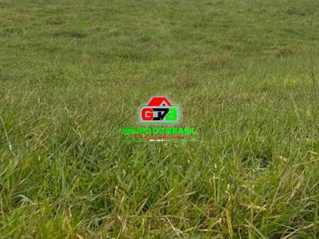 #3504 - Fazenda para Venda em São José dos Campos - SP - 1