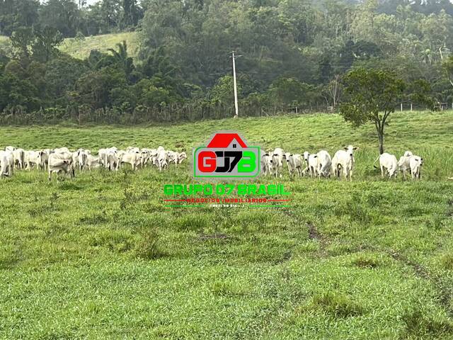 #3507 - Fazenda para Venda em Jacareí - SP - 2