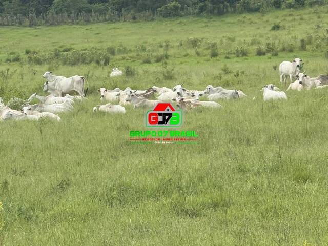 Fazenda para Venda em Jacareí - 4