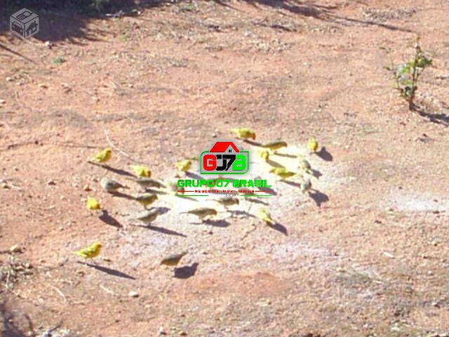 Sítio para Venda em São José dos Campos - 2