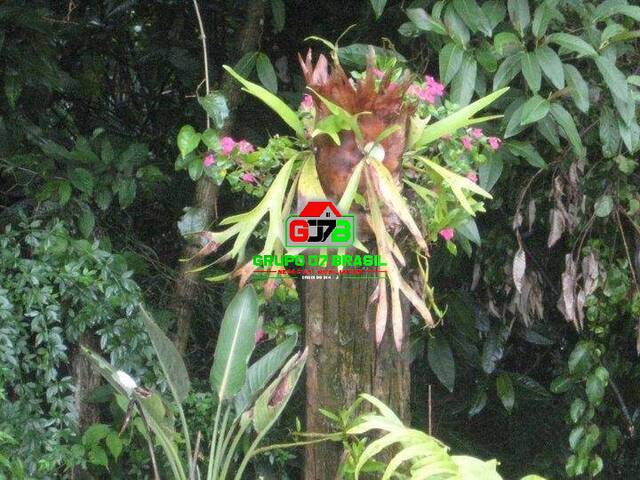 Sítio para Venda em São José dos Campos - 4