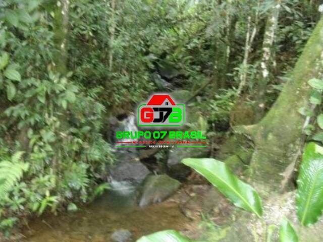 Sítio para Venda em São José dos Campos - 2