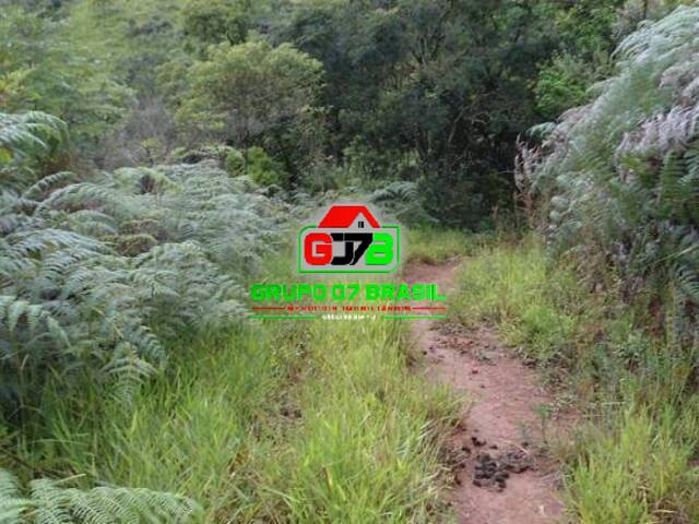 Sítio para Venda em São José dos Campos - 5