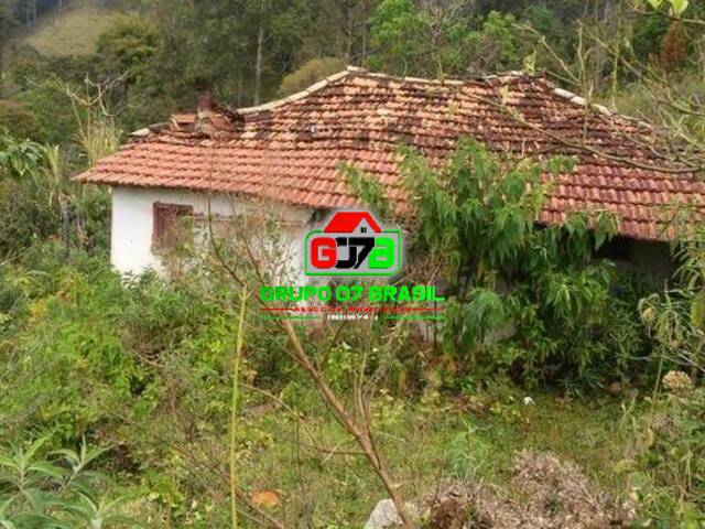 Sítio para Venda em Virgínia - 3
