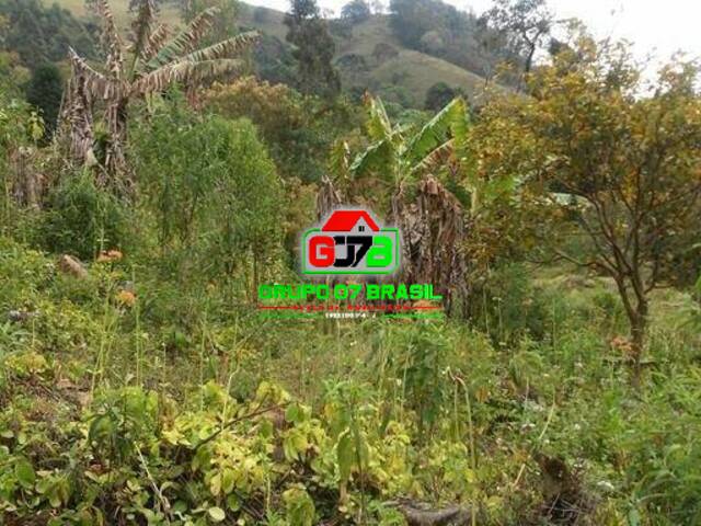 Sítio para Venda em Virgínia - 2