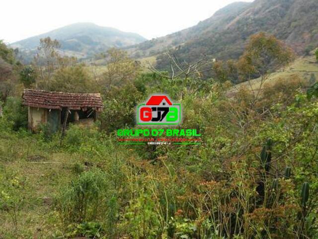 Sítio para Venda em Virgínia - 5