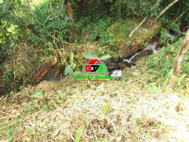 Terreno1 para Venda em Virgínia - 4