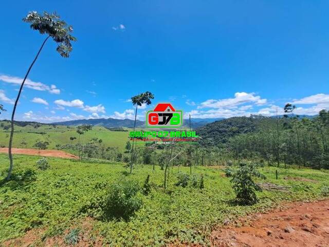 Venda em Ponte Nova - Monteiro Lobato