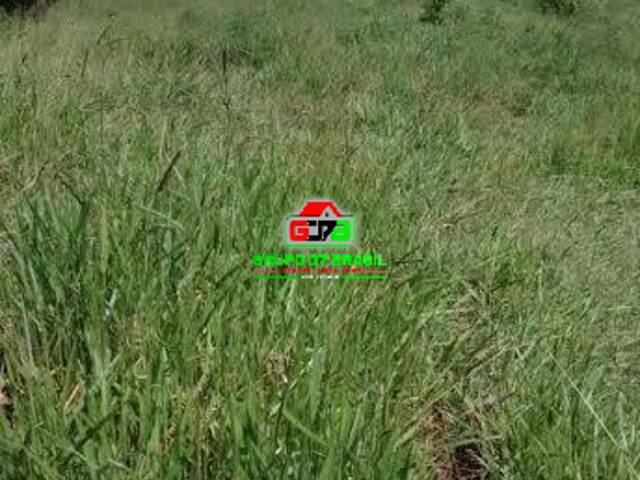 Sítio para Venda em Monteiro Lobato - 2