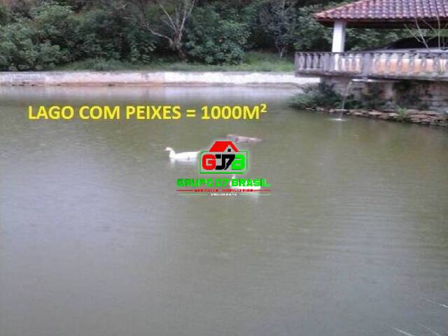 para em - 2