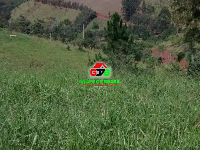 Sítio para Venda em Monteiro Lobato - 3