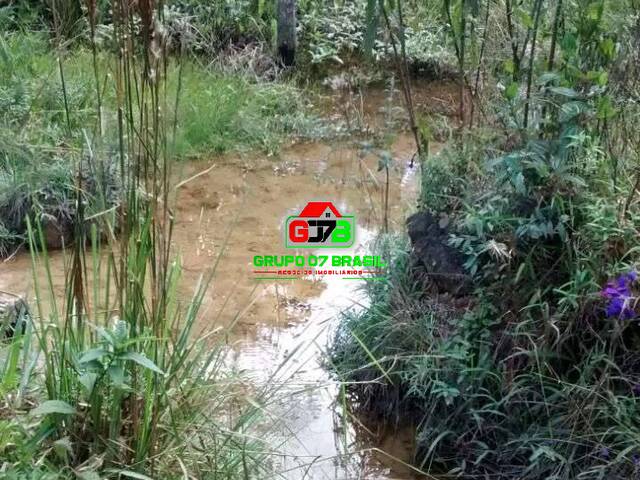 Sítio para Venda em Monteiro Lobato - 4
