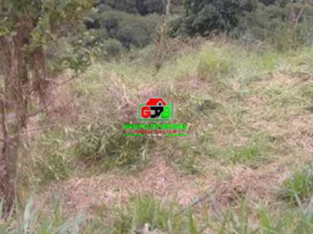 Chácara para Venda em Monteiro Lobato - 3