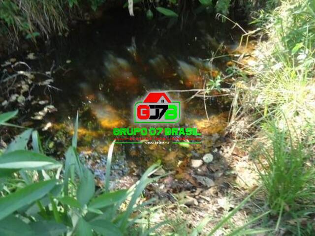 Sítio para Venda em Monteiro Lobato - 4