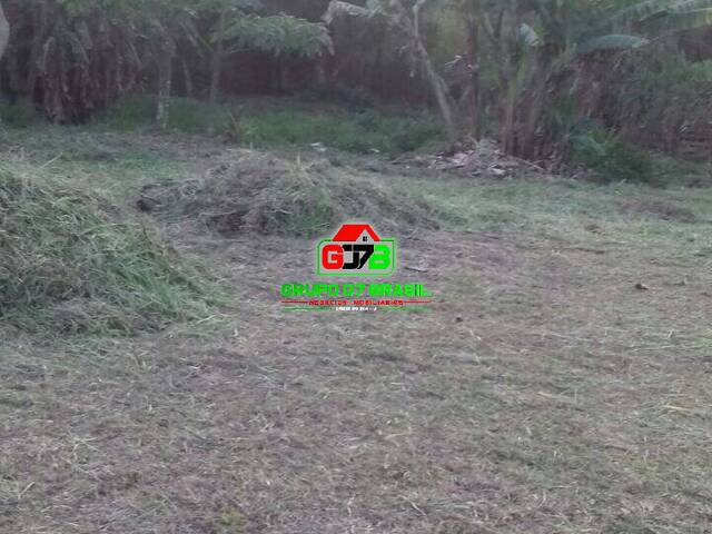 Terreno1 para Venda em Jambeiro - 2