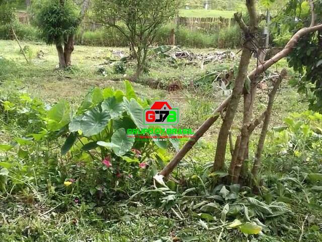 Terreno1 para Venda em Jambeiro - 3