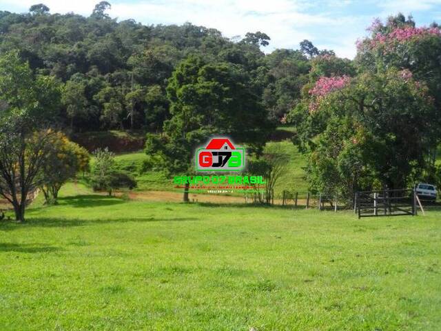 Sítio para Venda em Cunha - 3