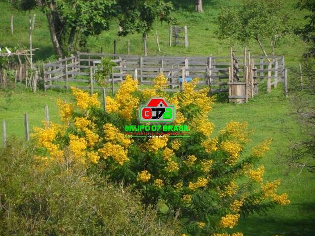 Sítio para Venda em Cunha - 4