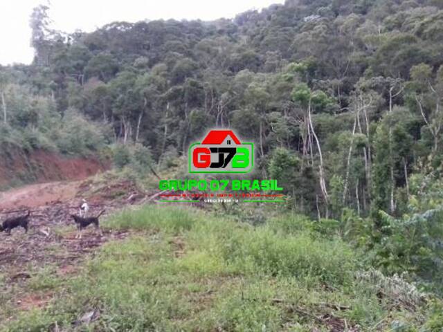Chácara para Venda em Monteiro Lobato - 2