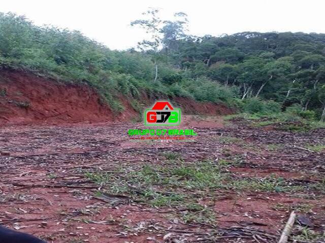 #647 - Sítio para Venda em Monteiro Lobato - SP