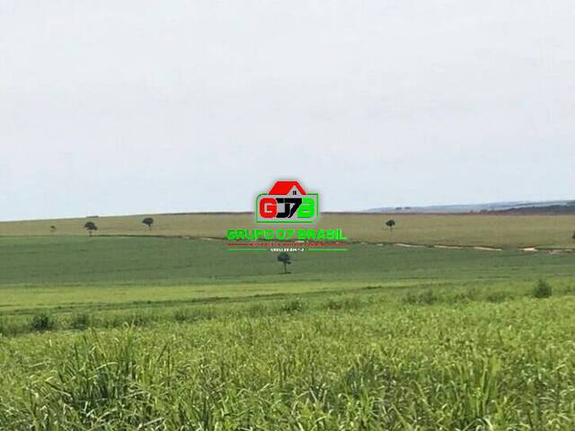 #656 - Fazenda para Venda em Bauru - SP - 1