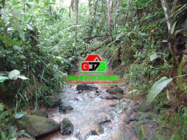Sítio para Venda em Monteiro Lobato - 5