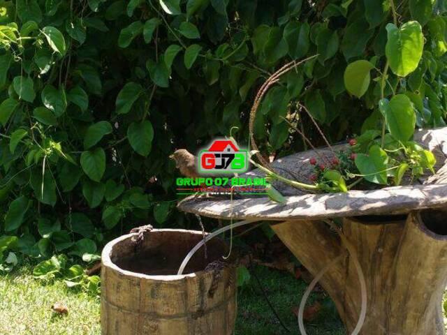 Chácara para Venda em Paraibuna - 4