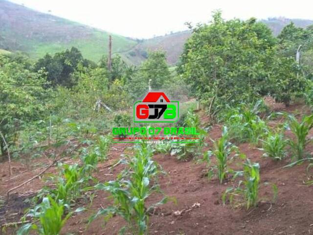 Chácara para Venda em Paraibuna - 3