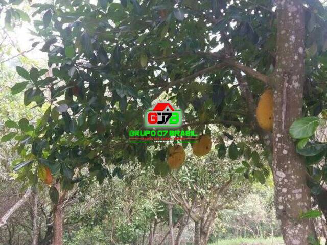 Área para Venda em São José dos Campos - 3